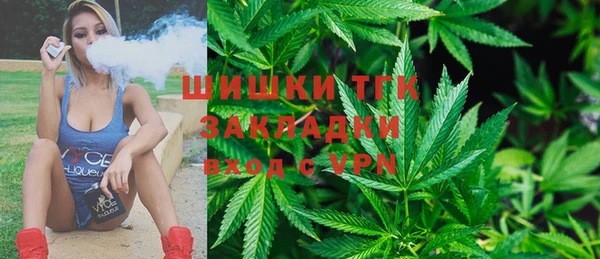 молекула духа Алексеевка