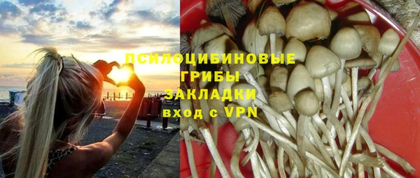 дживик Алексин