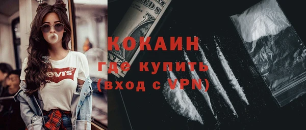 дживик Алексин